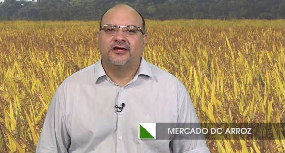 Entenda a variação nos preços da saca de arroz