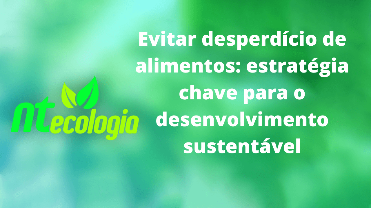 3 Exemplos Que Podemos Reduzir Para Evitar O Desperdício