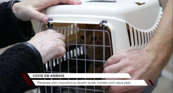 Pessoas com covid-19 devem evitar contatos com animais