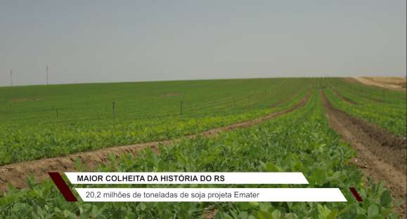 Produtores gaúchos devem ter safra recorde de soja