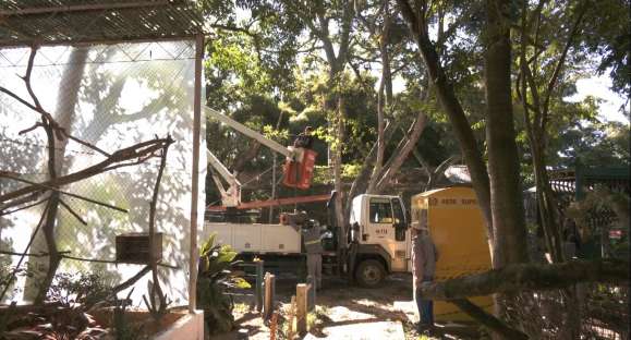 Zoológico de Cachoeira tem novidades para a reabertura