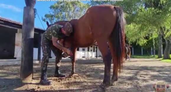 Centro de Equoterapia General Polidoro deve voltar à ativa em setembro